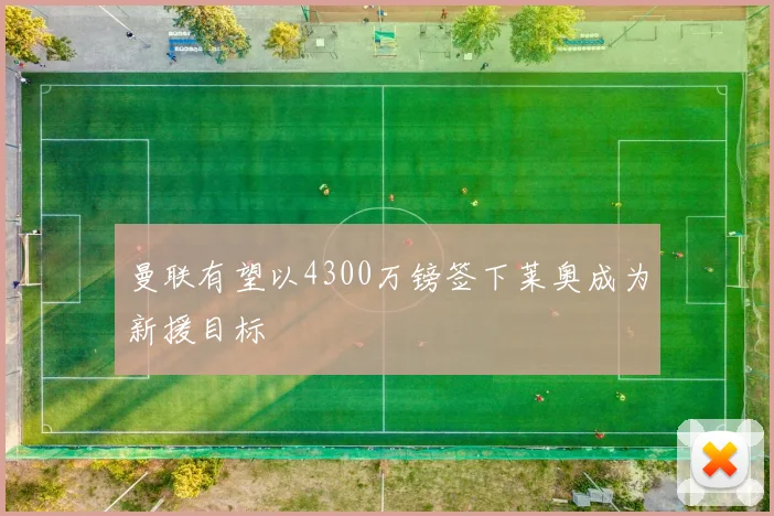 曼联有望以4300万镑签下莱奥成为新援目标