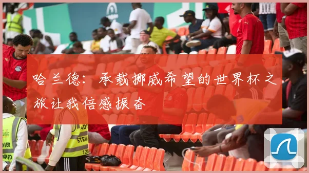 哈兰德：承载挪威希望的世界杯之旅让我倍感振奋